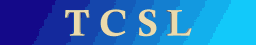 TechCo System Logo